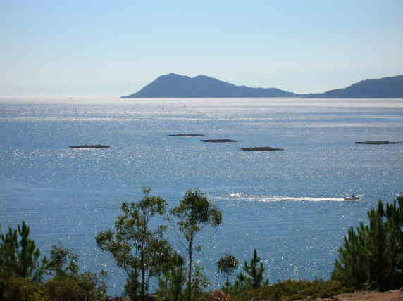 Punta Louro